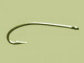 phishing
